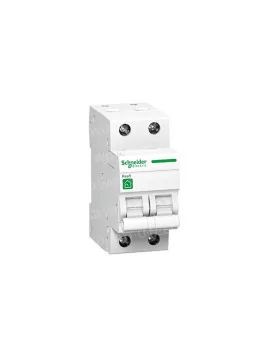 Interruptor de circuito de Schneider mono 10A