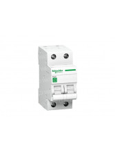 Interruptor de circuito de Schneider mono-20A