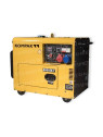 Kompak 6300W Diesel Generator 230V/400V Schallgedämmt NT-8000SE-T