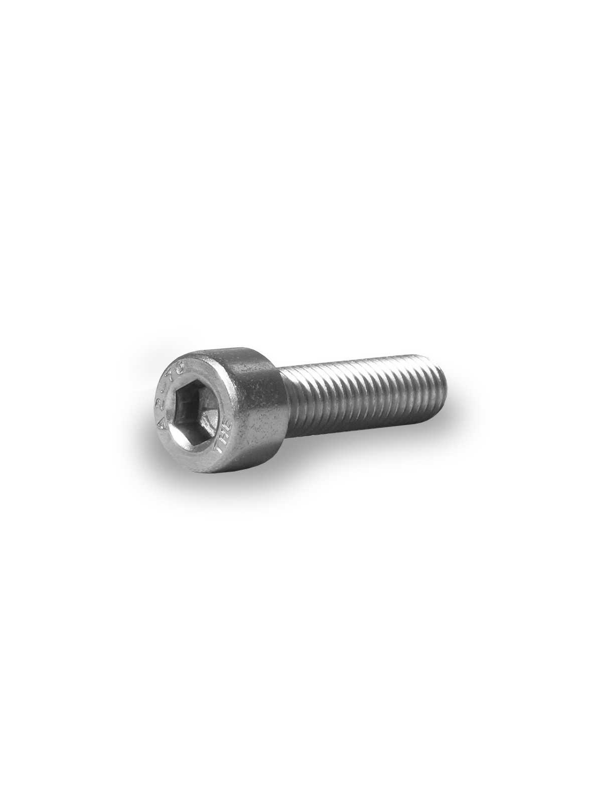 Tornillo cabeza redonda M8x30 1 pieza