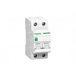 Interruptor de circuito de Schneider mono 40A