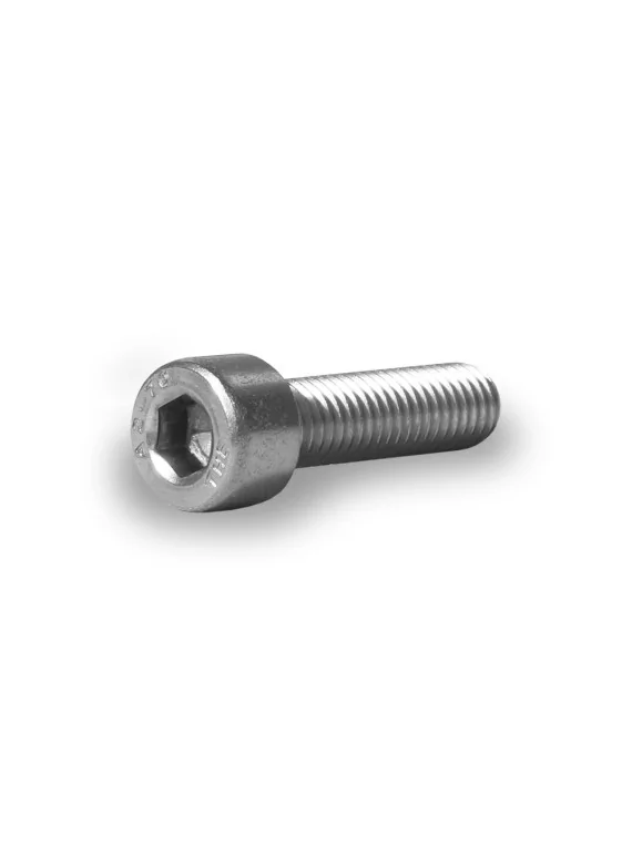 Round head bolt M8x30 100 pieces