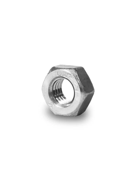 Hexagon nuts M10 1x