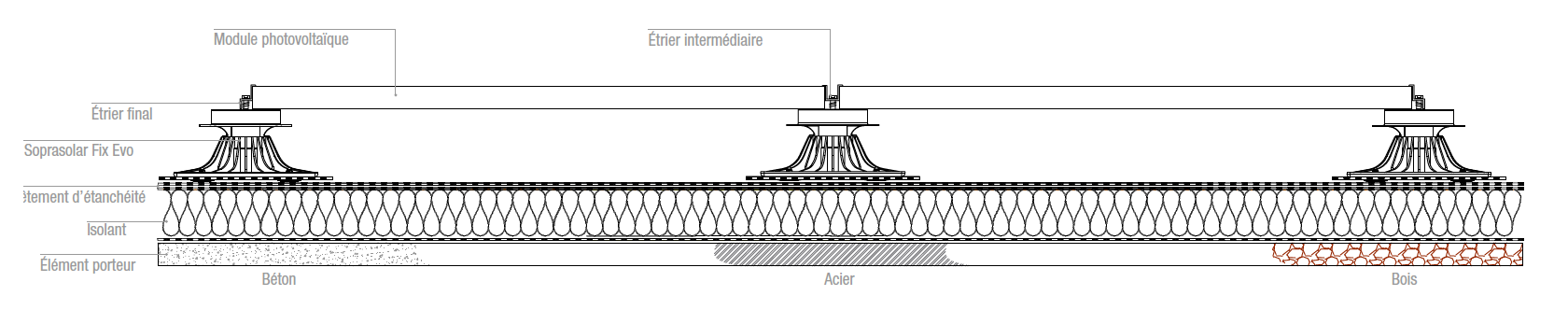 Section 2D