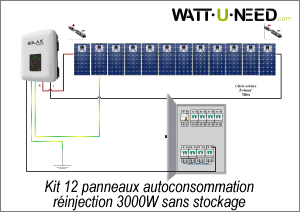 Kit 12 panneaux autoconsommation - réinjection 3000W avec stockage